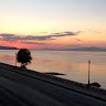 Μικρογραφία πωλητή
