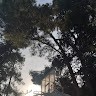 Αχιλλέας Κατσιλιέρης