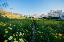 Φακίνος Κωνσταντίνος