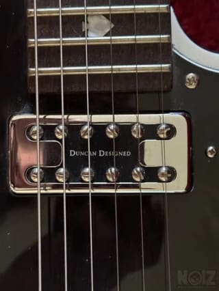 Schecter Diamond Series Pete Dee Addicts