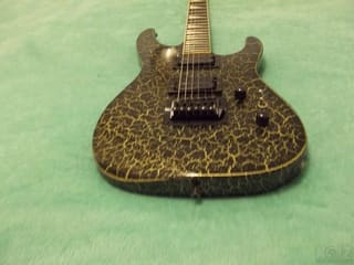 Vester Consert Series with Maxon V2 Pick
