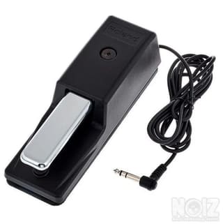 Roland DP-10 Sustain / Damper Pedal