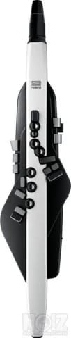 Ζητάω Aerophone Roland AE-20