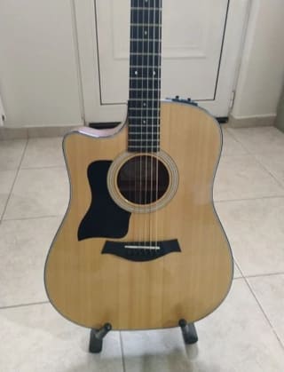 Taylor 310ce