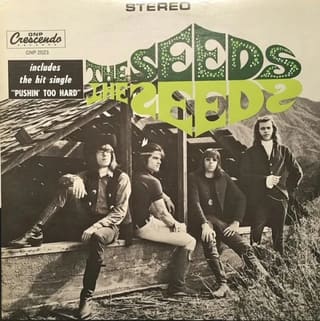 The Seeds ‎– The Seeds (LP . 1966)