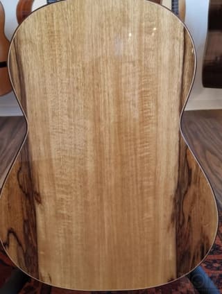 Raimundo Black Limba Tatyana Ryzhkova