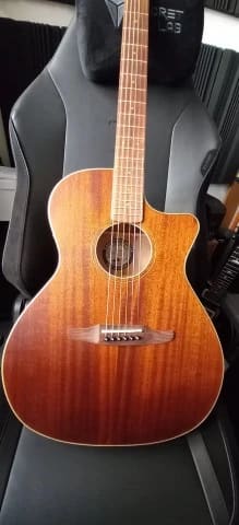 Fender newporter special Mahogany Natura
