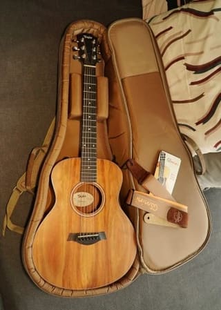 Taylor GS Mini-e Koa