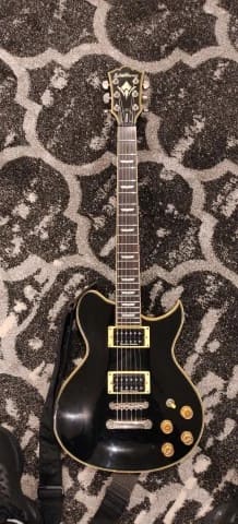 Washburn WI66 PRO