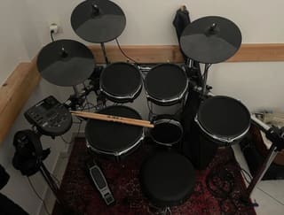 Alesis Surge Mesh Kit