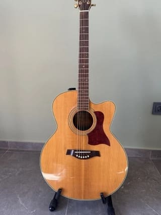 Tanglewoog TW 55 DLX