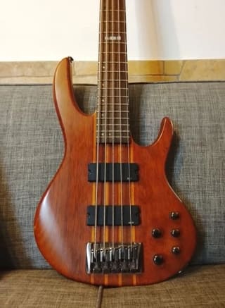 ESP LTD D-5 5 String Bass & δώρο η θ