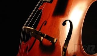 Ζητείται Cello