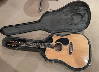 12 χορδη Takamine FC400SC