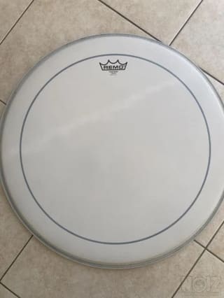 Remo Pinstripe Coated 20” bass drum head