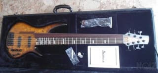 IBANEZ SRAS7 7χορδο.