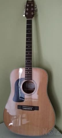 Washburn  D10SLH  για αριστεροχειρες