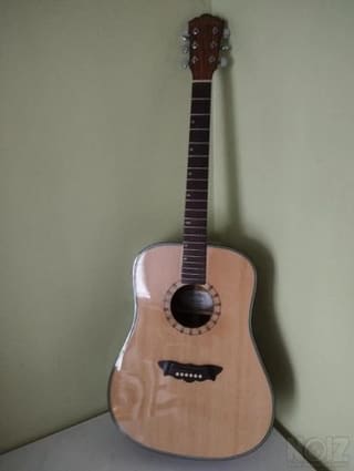 Washburn D46S