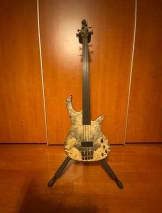 Human Base Fretless
