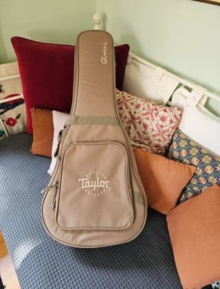 Taylor GS Mini Gig Bag