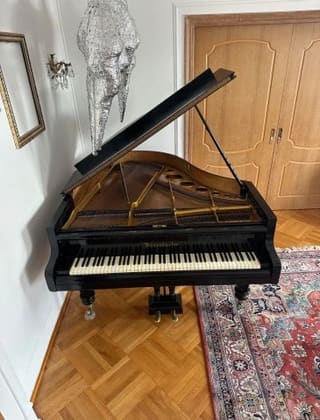 Πιάνο Bösendorfer με ουρά
