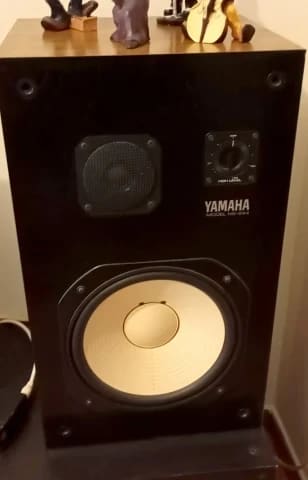 Yamaha NS-244 (Woofer 10'')