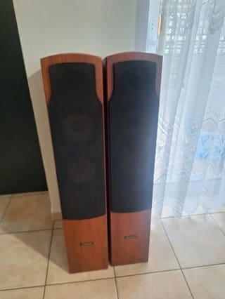 Ζεύγος Ηχείων Δαπέδου Roister Status 7