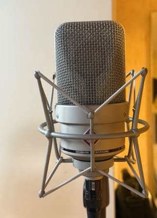 Μικρόφωνο  Neumann TLM49