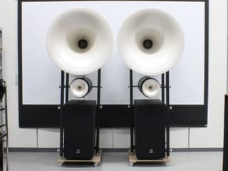 Ηχεία Avantgarde Duo Omega ( Alnico )