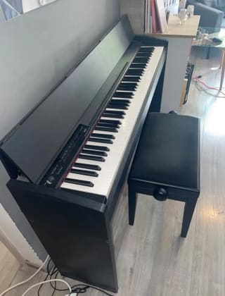 Roland F-110 