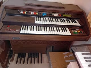 Organ Gem Leslie 