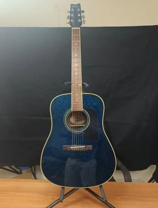 Washburn D-11 TBL Acoustic Guitar