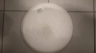 Remo Ambassador Batter 13