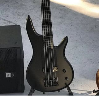 Ibanez GWB35 fretlles 