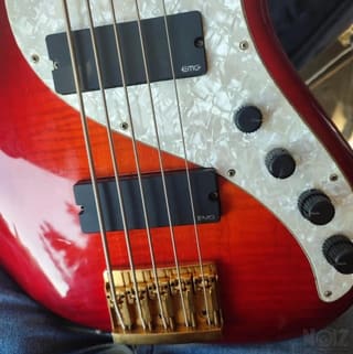 Pedulla Rapture J2000 (5 string)