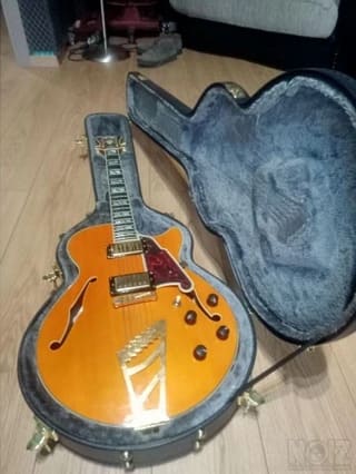 D'angelico Excel SS