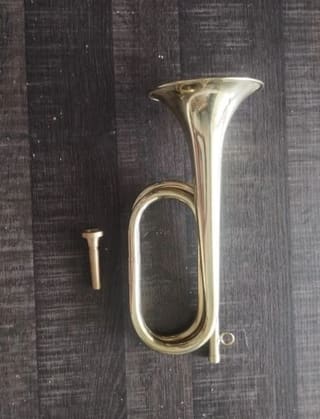 Σάλπιγγα Startone SSH-15