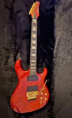 Dc400 custom shop Floyd rose magnets