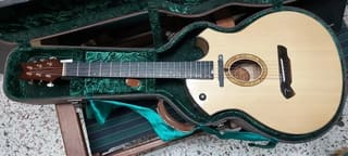 Parker P8EN acoustic guitar with RM acou
