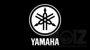Ανταλλαγη  Yamaha stage custom advantage
