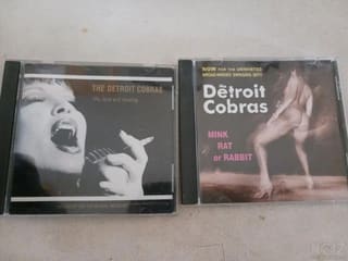 Detroit Cobras