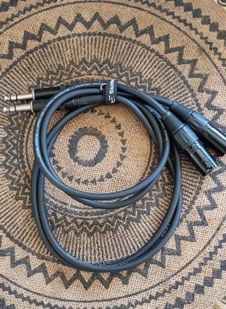 Swamp Balanced Studio Monitor (Speaker) 