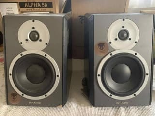 Dynaudio Dbm 50