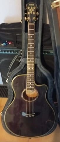 Yamaha APX 10 made in Japan 