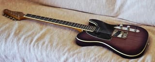 Schecter PT Special, DiMarzio Tone Zone, θήκη