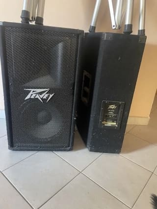 Peavey 112