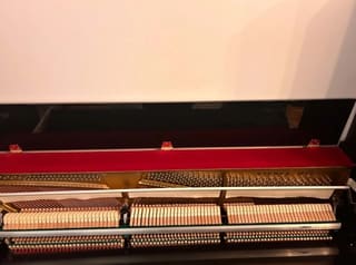 Yamaha Eterna by Pearl River ER-C10