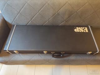 ESP LTD Phoenix Black Metal