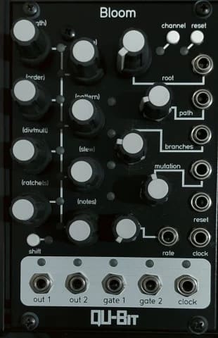 QU-Bit Bloom