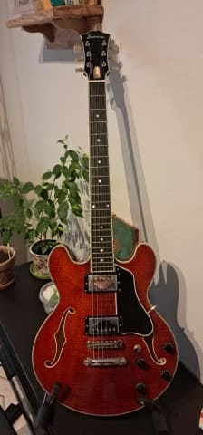 Eastman T484 (2025)